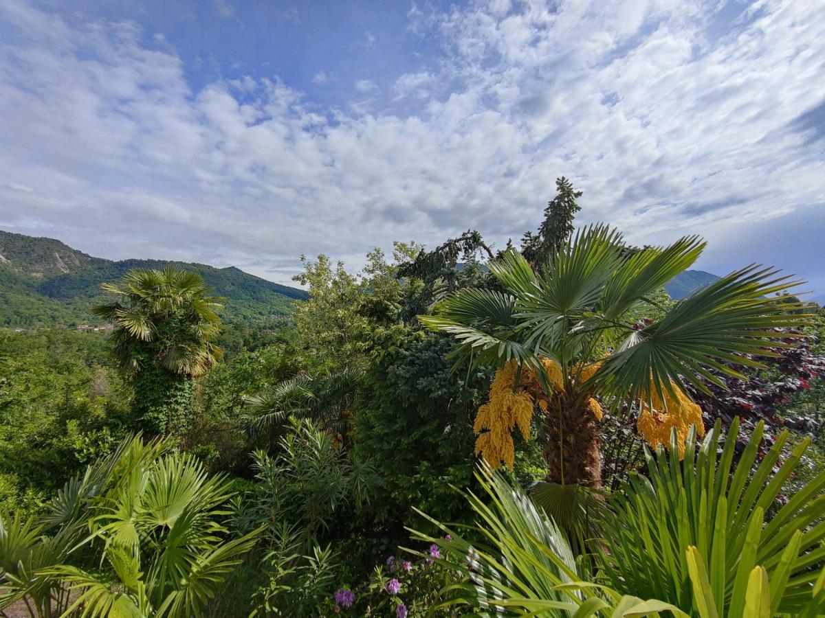 Feluca Porto Holiday home